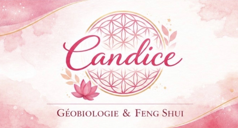Consultante en géobiologie et feng-shui